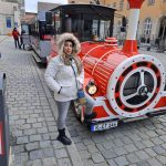 سعیده نوروزی تور لیدر فرهنگی در تهران