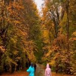 تور یک روزه جنگلی پاییزی(جنگل اولنگ شاهرود )