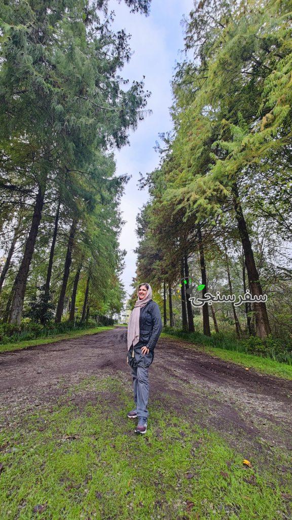 بهاره حسین زاده فراحمی آماده همکاری بعنوان دستیار راهنما در تورهای ورودی و خروجی