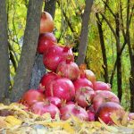 تور جشن انار اورامانات ،کرمانشاه گردی