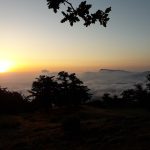 مهدی شکیبافر گردشگری قاره کوچک