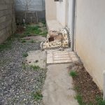 اجاره سویت در گیلان اسالم