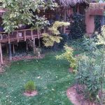 پیمان اسماعیلی  شیراز گردی راهنما اتوموبیل