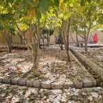 هاجر حق شناس بوم‌گردی آتشکده فارس