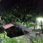 سعید صادقی ناو بومگردی اسالم لند