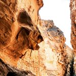 صدرا یاوری لیدر طبیعت گردی قشم