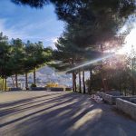 سهیل یزدانبخش سویتهای جنگلی آتشکده