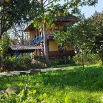 سعید صادقی ناو بومگردی اسالم لند