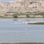 صدرا یاوری لیدر طبیعت گردی قشم