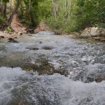 پیمان اسماعیلی  شیراز گردی راهنما اتوموبیل