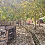 هاجر حق شناس بوم‌گردی آتشکده فارس