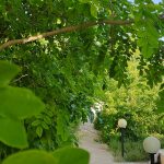 بوم‌گردی باغ بهشت در تبریز حمید غریب