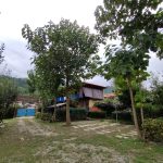 سعید صادقی ناو بومگردی اسالم لند