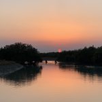 صدرا یاوری لیدر طبیعت گردی قشم