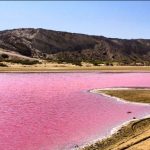 حسین احمدی سواری دربست درچابهار (خودرو پژو پارس)