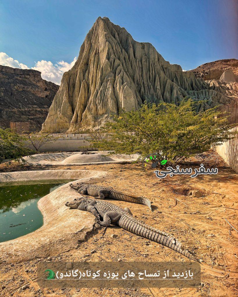 تور سفر به بلوچستان ۱۸ تا ۲۲ بهمن