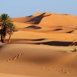 تور یک روزه کویر ابوزیدآباد و شهر زیرزمینی اویی