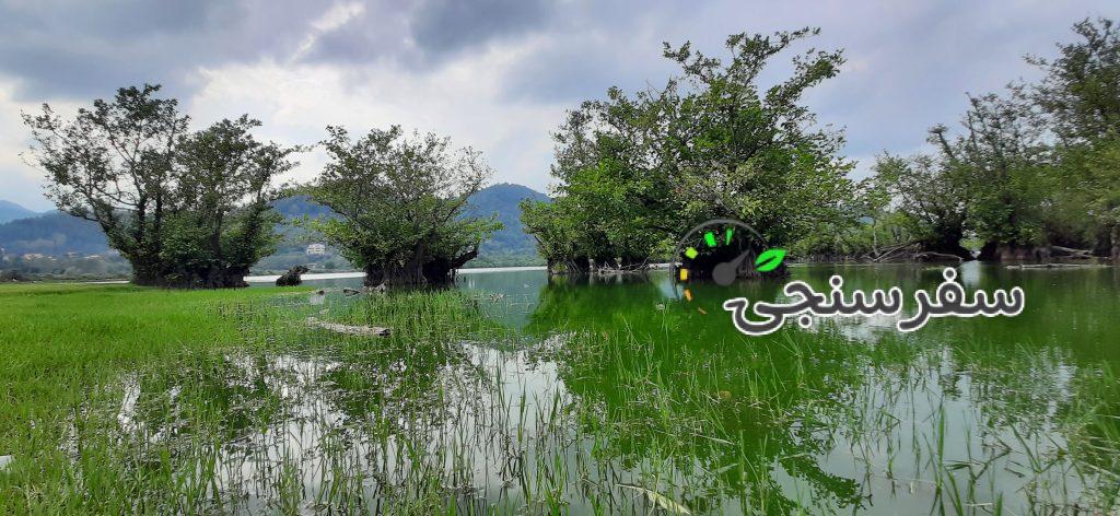 راهنما گردشگری و راهنما راننده پدرام عفیفی اردبیل