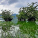 راهنما گردشگری و راهنما راننده پدرام عفیفی اردبیل