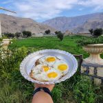 از دشت سوسن تا زراس ویژه سال تحویل