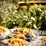 اجاره و رزرو اقامتگاه بومگردی در میامی وحید برزگری