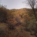 سفر به دل طبیعت پیرانشهر هم می تونیم سخت هم آسون محسن ملازاده