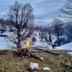 اجاره و رزرو اقامتگاه بومگردی در میامی وحید برزگری