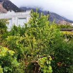 اردوان کیانی شاهوندی ویلا اجاره ای شیوند در ایذه خوزستان