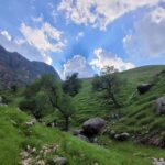 تور دشت سوسن نوروز 1403