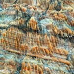 بهرام فخرایی لیدر و راهنمای محلی استان بوشهر