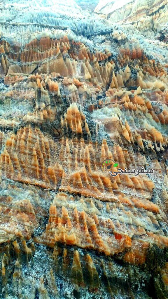 بهرام فخرایی لیدر و راهنمای محلی استان بوشهر