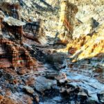 بهرام فخرایی لیدر و راهنمای محلی استان بوشهر