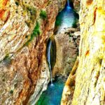 بهرام فخرایی لیدر و راهنمای محلی استان بوشهر