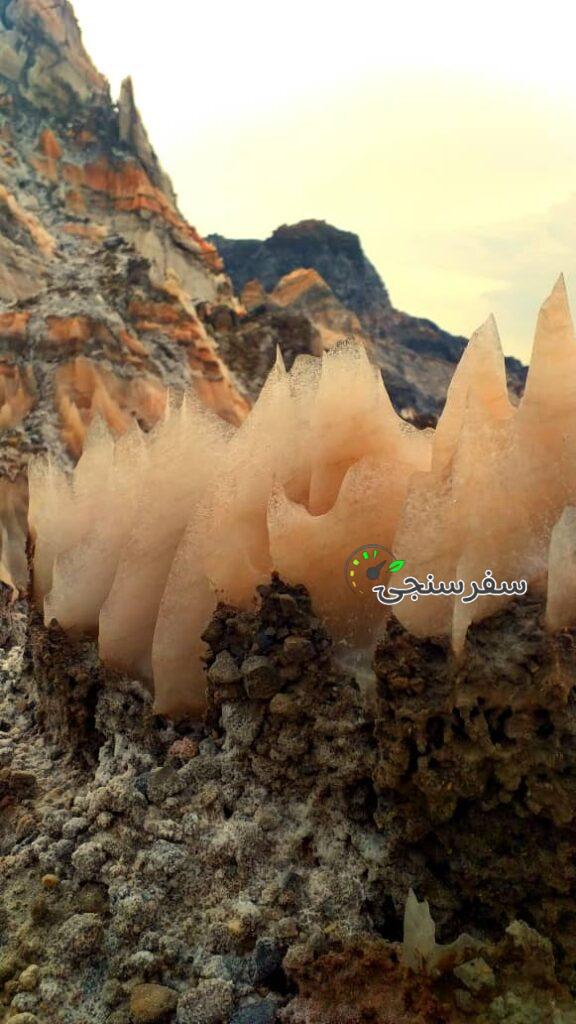 بهرام فخرایی لیدر و راهنمای محلی استان بوشهر