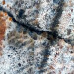 بهرام فخرایی لیدر و راهنمای محلی استان بوشهر