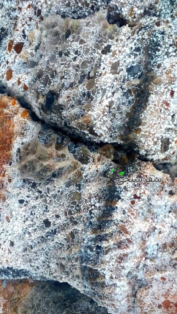 بهرام فخرایی لیدر و راهنمای محلی استان بوشهر