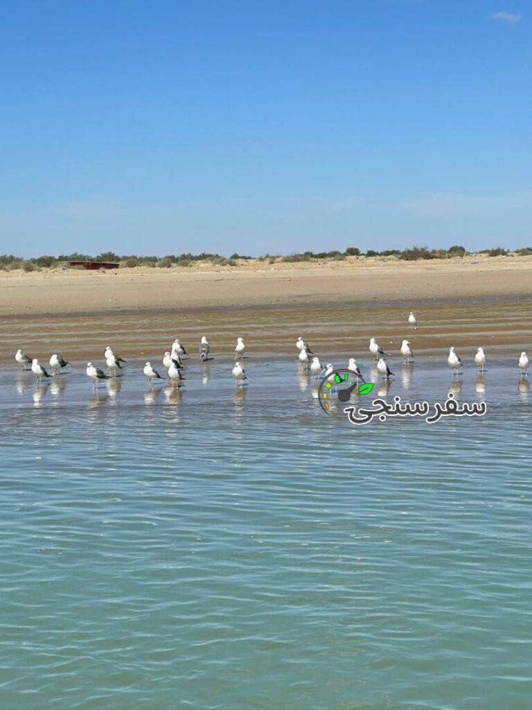 حسین احمدی لیدر محلی همراه با خودرو تاکسی چانگان مخصوص گردشگری چابهار