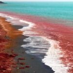 تور ترکیبی قشم هرمز هنگام (فولبرد)