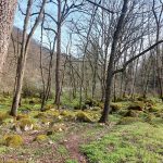 تور پیمایش کلاردشت به نمک آبرود