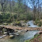 تور پیمایش کلاردشت به نمک آبرود