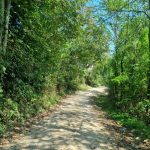 یک شب کمپینگ در دل جنگلهای هیرکانی از تهران