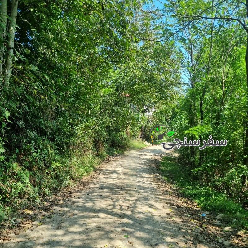 یک شب کمپینگ در دل جنگلهای هیرکانی از تهران