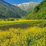 سفر کمپی به دشت زیبای دریاسر