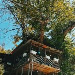 سفر به اوپرت و فینسک