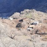 مسلم ناصری لیدر روستا و (آبشار) وارک در خرم آباد لرستان