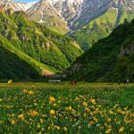 سفر کمپی به دشت زیبای دریاسر