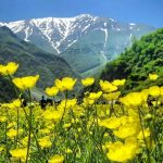 سفر کمپی به دشت زیبای دریاسر