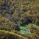 تور یک روزه پیرداود