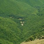 تور یک روزه پیرداود