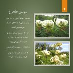 سفر به داماش و ییلاقات لاهیجان از تهران